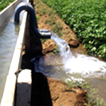 Mixrite - Tarımsal Sulama - Horticulture Irrigation